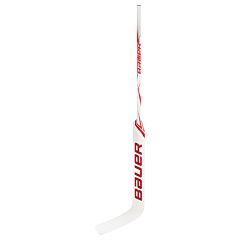 Bauer S20 GSX Intermediate Goalie Stick